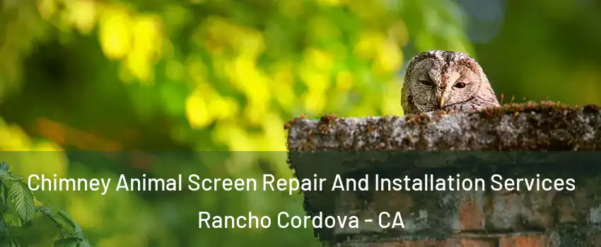  Chimney Animal Screen Repair And Installation Services Rancho Cordova - CA