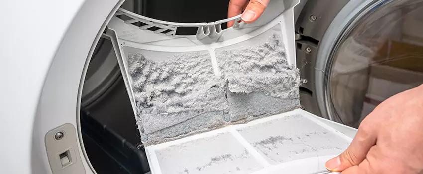 Best Dryer Lint Removal Company in Rancho Cordova, California