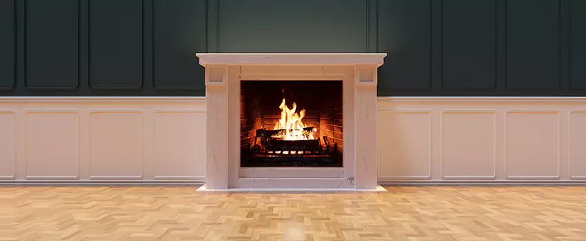Napoleon Electric Fireplaces Inspection Service in Rancho Cordova, California