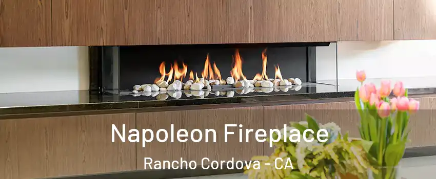  Napoleon Fireplace Rancho Cordova - CA